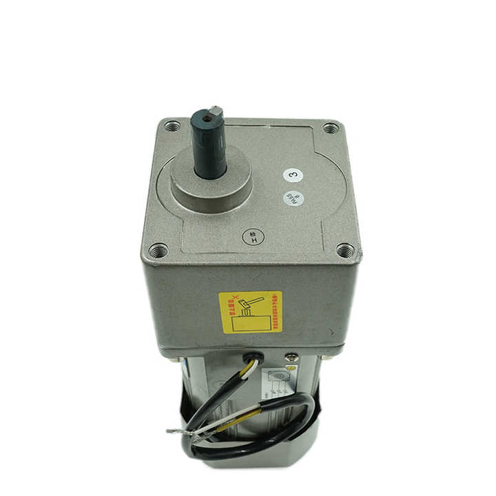6W AC Induction Gear Motor
