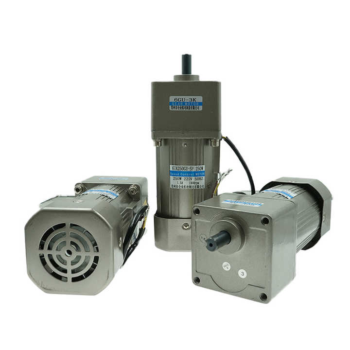 6W AC Induction Gear Motor