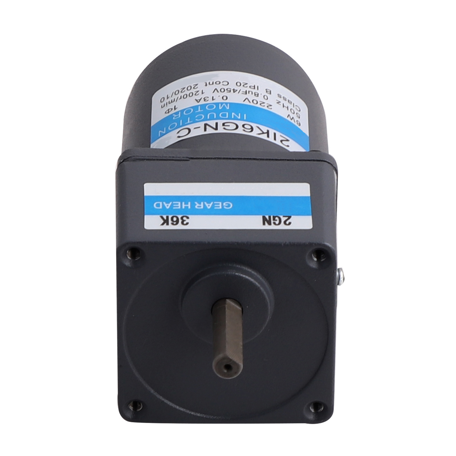 120W AC Induction Motor with Gear