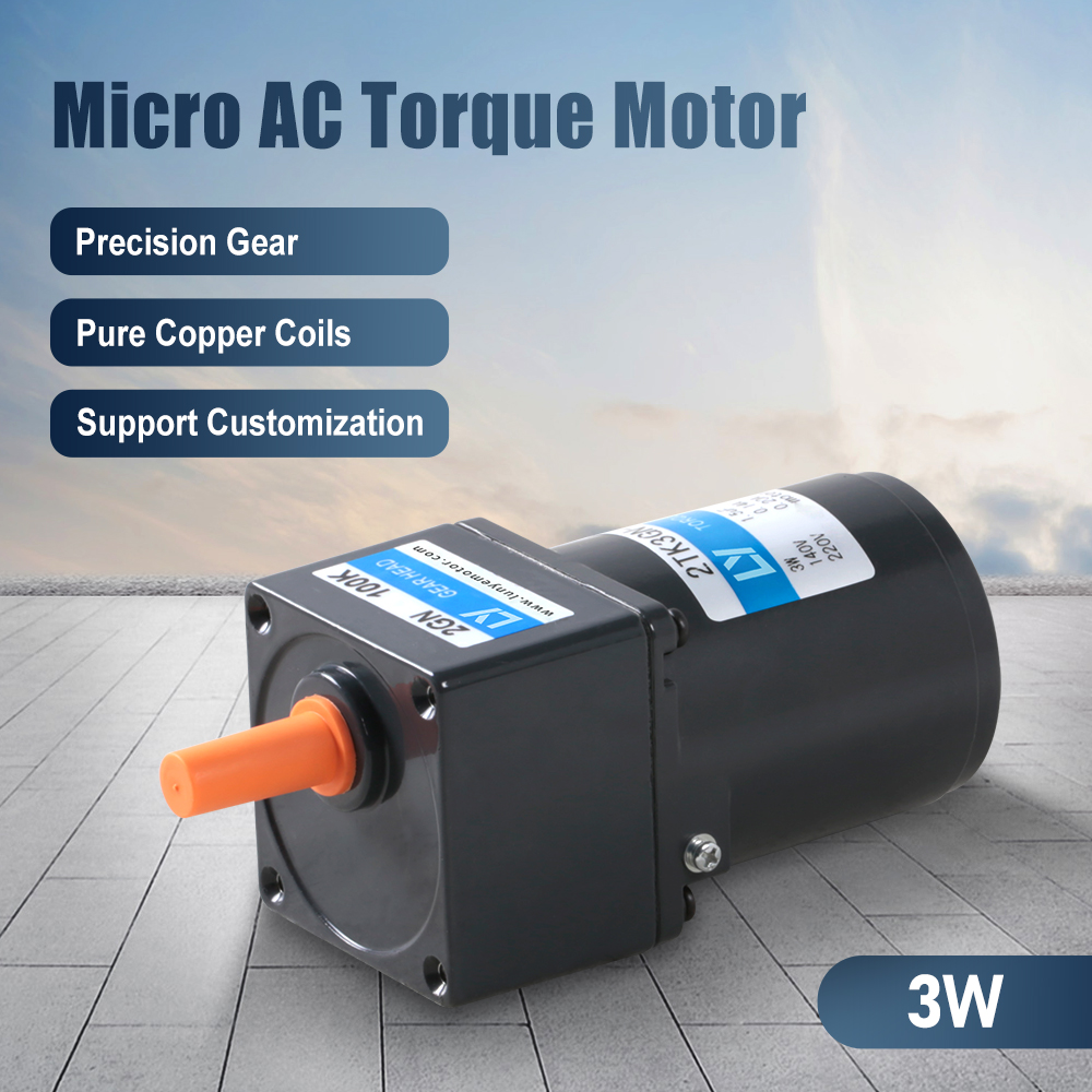 3W Micro AC Low RPM High Torque Motor