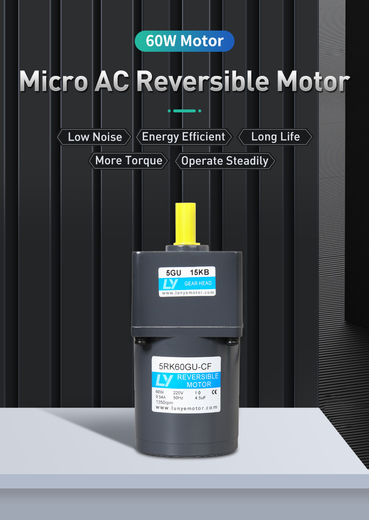 60W 1phase Small Gear AC Motor with Terminal Box
