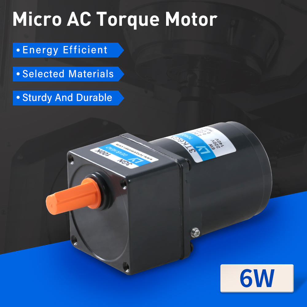 6W Micro AC Low RPM High Torque Motor