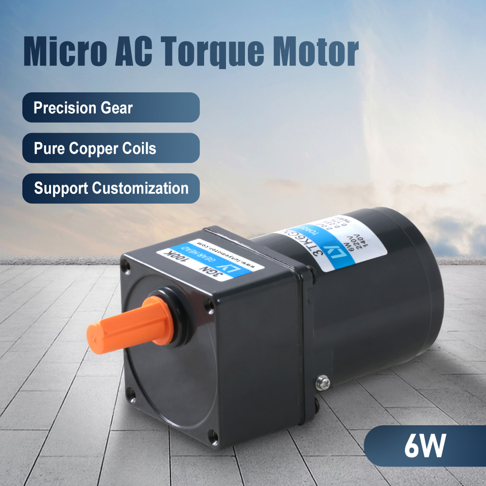 6W Micro AC Low RPM High Torque Motor