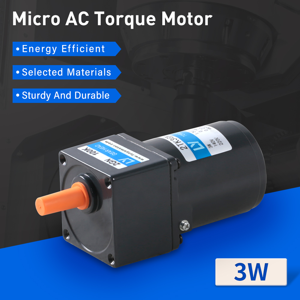 3W Micro AC Low RPM High Torque Motor