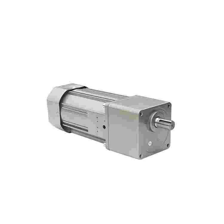 120MM 750W Micro AC Gear Motor