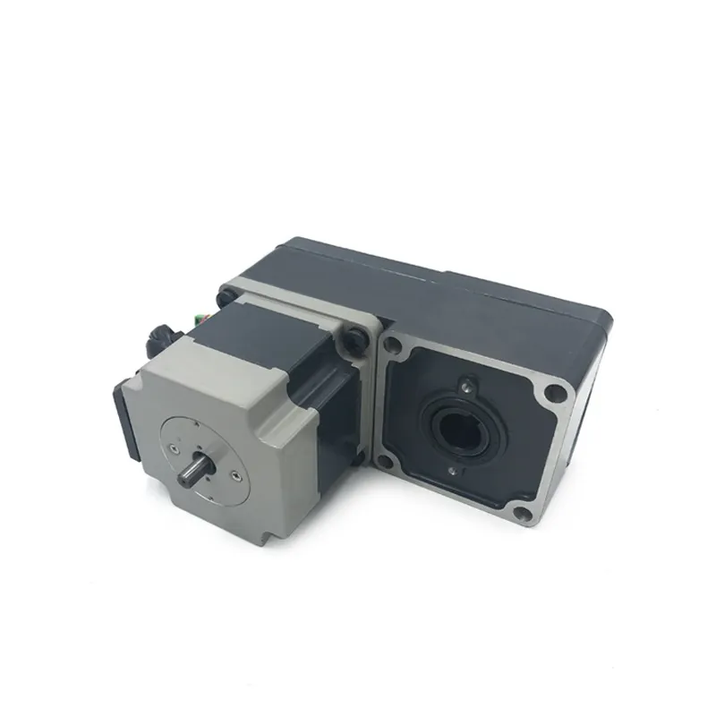 60mm 15W 3000RPM 100-220V BLDC Gear Motor
