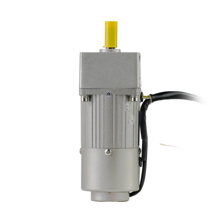 70MM 15W Micro AC Gear Motor